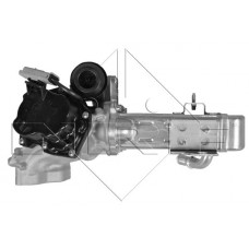 EGR modul